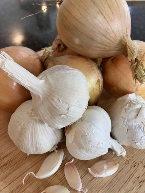 Onions and garlic on a chopping board
